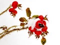 Thornhill winter rosehip 2016 Royalty Free Stock Photo