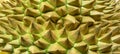 Thorns of durian background Royalty Free Stock Photo