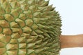 Thorns of durian fruit Royalty Free Stock Photo