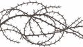 Thorny Barbed Wire Barrier, Symbolizing Restriction and Protection, vector design Generative AI Royalty Free Stock Photo
