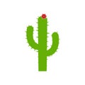 Thorny cactus in desert icon