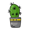 Thorny cactus in gray pot with bright stripe, home plant succulen in doodle style