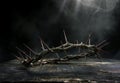 Thorny crown of thorns on dark background Royalty Free Stock Photo