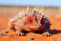 a thorny devil lizard on red desert sand Royalty Free Stock Photo