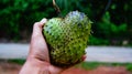 Thorny fruit