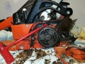 Thorough cleaning of the chainsaw