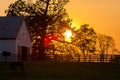 Thoroughbred Horse Farm - Bluegrass - Central Kentucky Royalty Free Stock Photo