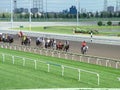 Thoroughbred horses prepare for a race at Woodbine Racetrack