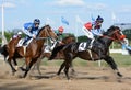 Thoroughbred racehorses in motion in horse racing