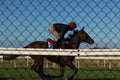 Thoroughbred racehorses training on a horse track in preperation for an international horse race on an early morning, Friday 18th