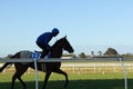 Thoroughbred racehorses training on a horse track in preperation for an international horse race on an early morning, Friday 18th