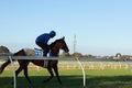 Thoroughbred racehorses training on a horse track in preperation for an international horse race on an early morning, Friday 18th