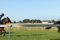 Thoroughbred racehorses training on a horse track in preperation for an international horse race on an early morning, Friday 18th