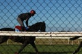 Thoroughbred racehorses training on a horse track in preperation for an international horse race on an early morning, Friday 18th