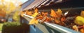 Thoroughly Cleaning Gutters Filled With Leaves And Sticks Royalty Free Stock Photo