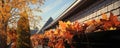 Thoroughly Cleaning Gutters Filled With Leaves And Sticks Royalty Free Stock Photo