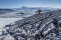 Thorton in Lonsdale, Yorkshire Dales, UK. 10th April 2016. Unsea