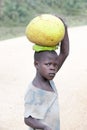 Thoughtful boy carries jackfruit home