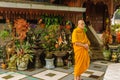 Thoughtful, contemplative monk in the shrine.