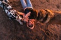 Thoughtful female owner with dog on coastline Royalty Free Stock Photo