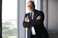 Thoughtful mature business man in full suit looking away while standing near the window. Royalty Free Stock Photo