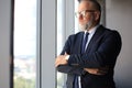 Thoughtful mature business man in full suit looking away while standing near the window. Royalty Free Stock Photo