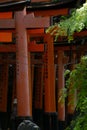 Thousand Gates Shrine in Kyoto, Japan