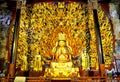 Thousand hands guanyin bodhisattva Royalty Free Stock Photo