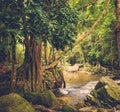 Thousand lingas river. Siem Reap. Cambodia Royalty Free Stock Photo