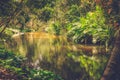 Thousand lingas river. Siem Reap. Cambodia Royalty Free Stock Photo