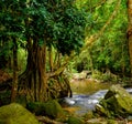 Thousand lingas river. Siem Reap. Cambodia Royalty Free Stock Photo