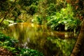 Thousand lingas river. Siem Reap. Cambodia Royalty Free Stock Photo