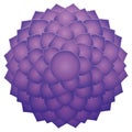 Thousand Petaled Lotus Sahasraha Crown Chakra