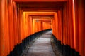 Thousand of red  torii gates along walkway in fushimi inari taisha temple is Important Shinto shrine and located in kyoto japan. Royalty Free Stock Photo