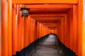 Thousand of red  torii gates along walkway in fushimi inari taisha temple is Important Shinto shrine and located in kyoto japan. Royalty Free Stock Photo