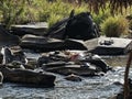 Thousand Shiva lingas are carved on rocks in the river Shalmali and on its banks Royalty Free Stock Photo