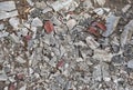 Thousand small splinters of an old tile and plaster on the fores Royalty Free Stock Photo