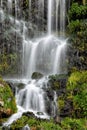 Thousand springs near Twin Falls Idaho. Royalty Free Stock Photo