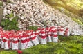 Amulets of Buddhist JizÃÂ bosatsu wearing a cap and a red bib in the Nihonji temple of Mount Nokogiri. Royalty Free Stock Photo