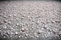 Thousands of broken white and pink eggshells cover the ground. The aftermath of an Easter celebration or art installation. Ideal Royalty Free Stock Photo
