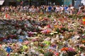 Thousands of flowers in Oslo, one week after June 2011 attack