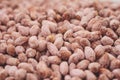 Thousands of peanut