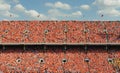 Thousands of people dressed in orange