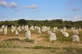 Thousands of prehistoric standing stones spread across three alignments at Carnac, Brittany, northwest France