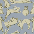 Thousands of rabbits