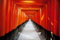 Red Tori Gates line the route that leads up the pathways at Fushimi Inari Shrine Kyoto, Japan