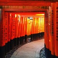 Thousands of red torii gates at Fushimi Inari Taisha shrine in Kyoto, Japan. Royalty Free Stock Photo