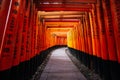 Thousands of red torii gates at Fushimi Inari Taisha Shrine in Kyoto, Japan Royalty Free Stock Photo