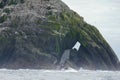 Thousands of seabirds make Little Skellig Island home, including Ireland`s largest northern gannet colony and other bird species..