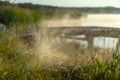 Thousands of small drops of water form an amazing fountain on the shore of the lake Royalty Free Stock Photo